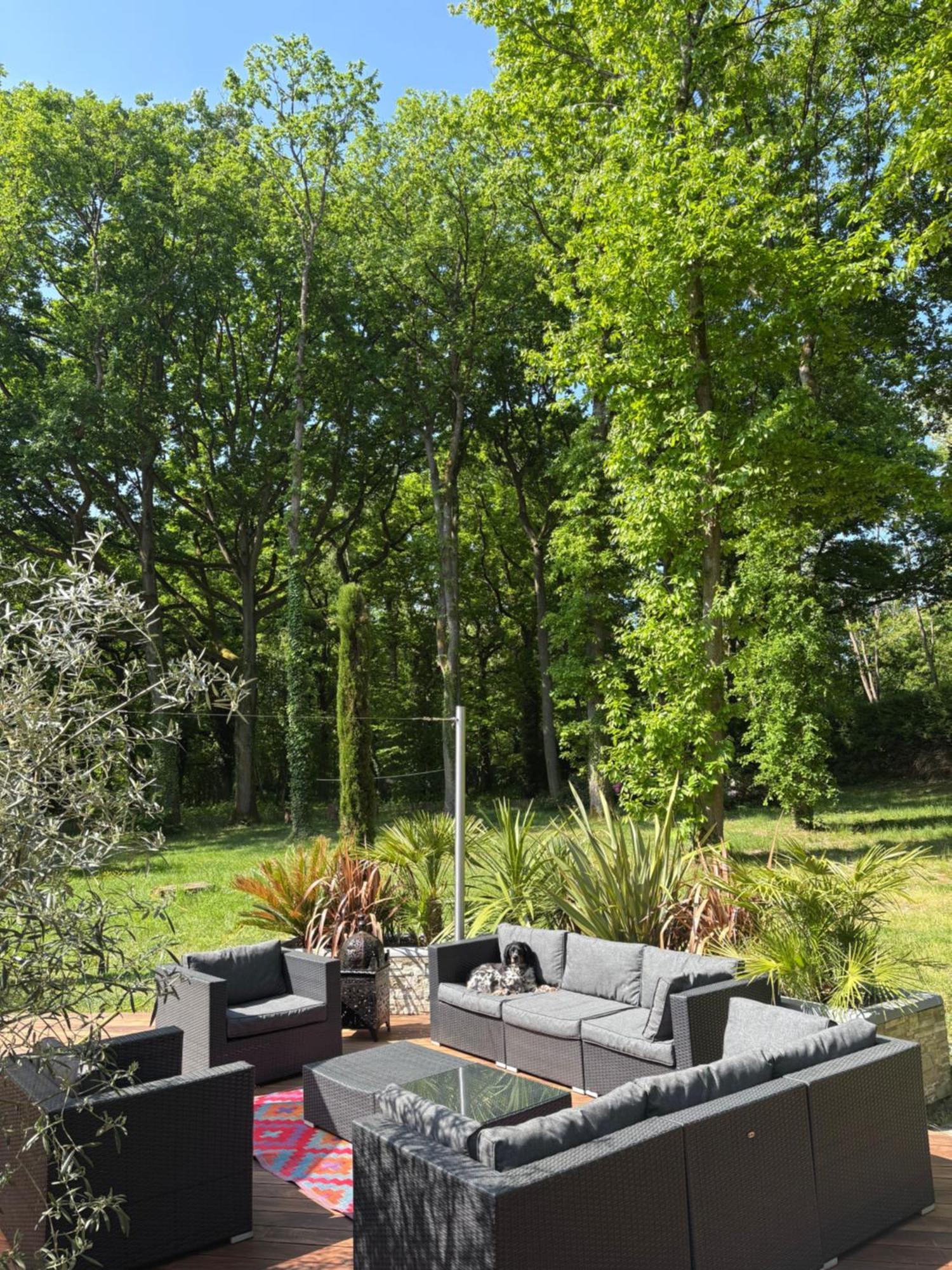 Somptueuse Villa D'Architecte Rochefort-en-Yvelines ภายนอก รูปภาพ